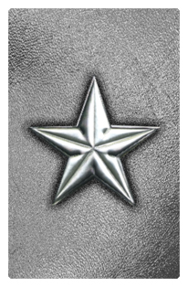 DF35T 430 SL SL Star Silver Silver